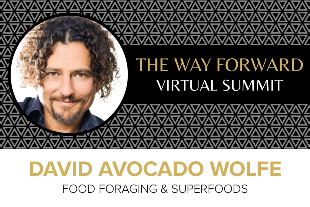 David Avocado Wolfe - Food Foraging & Superfoods