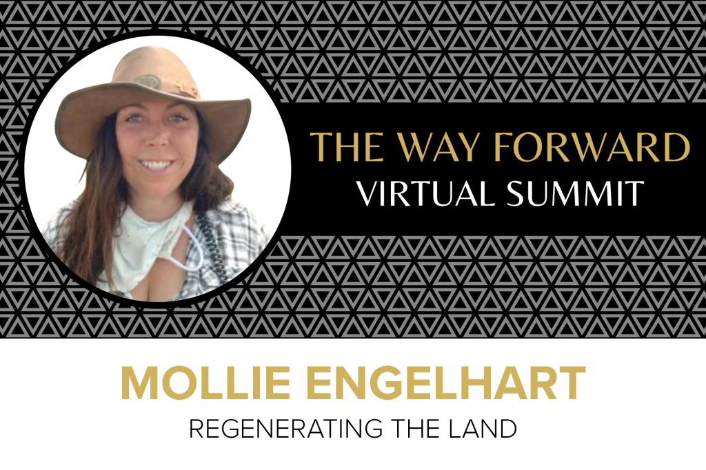 Mollie Englehart - Regenerating The Land